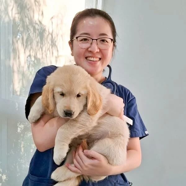 Dr Claire Ng