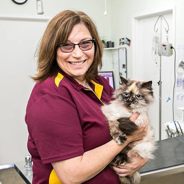 Animal Chiro for Aging Pets